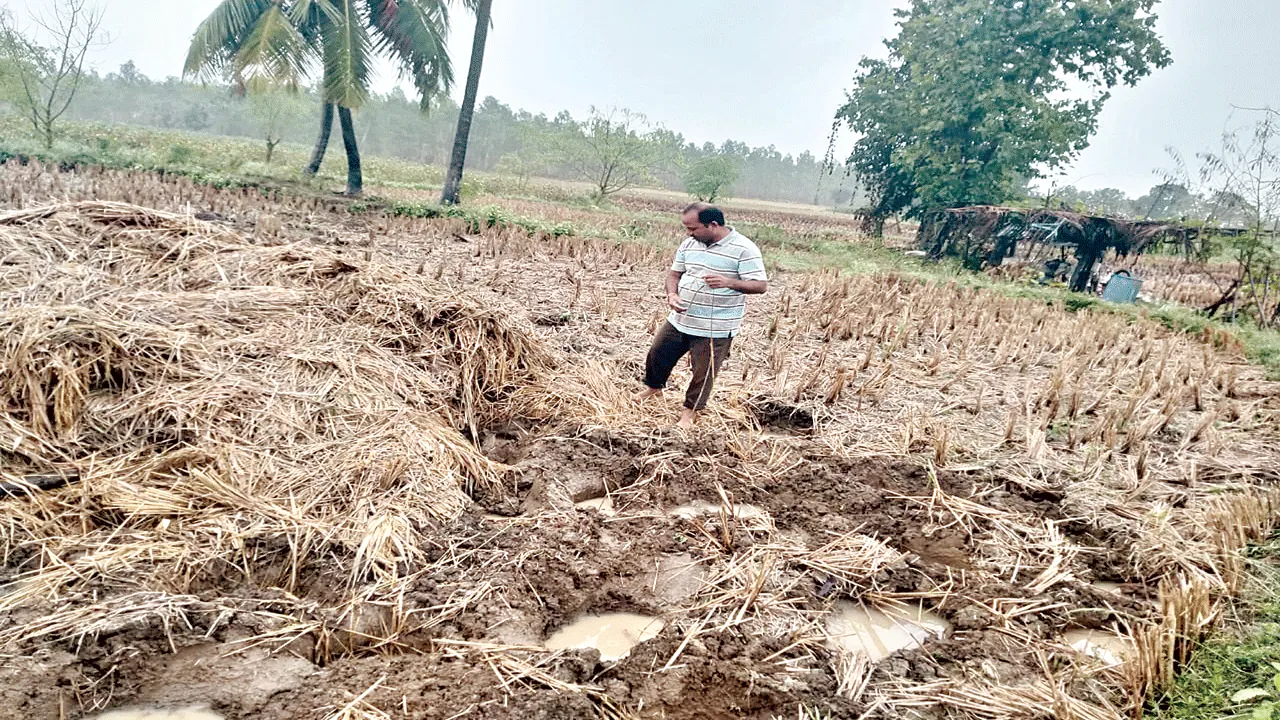 గజరాజుల బీభత్సం 