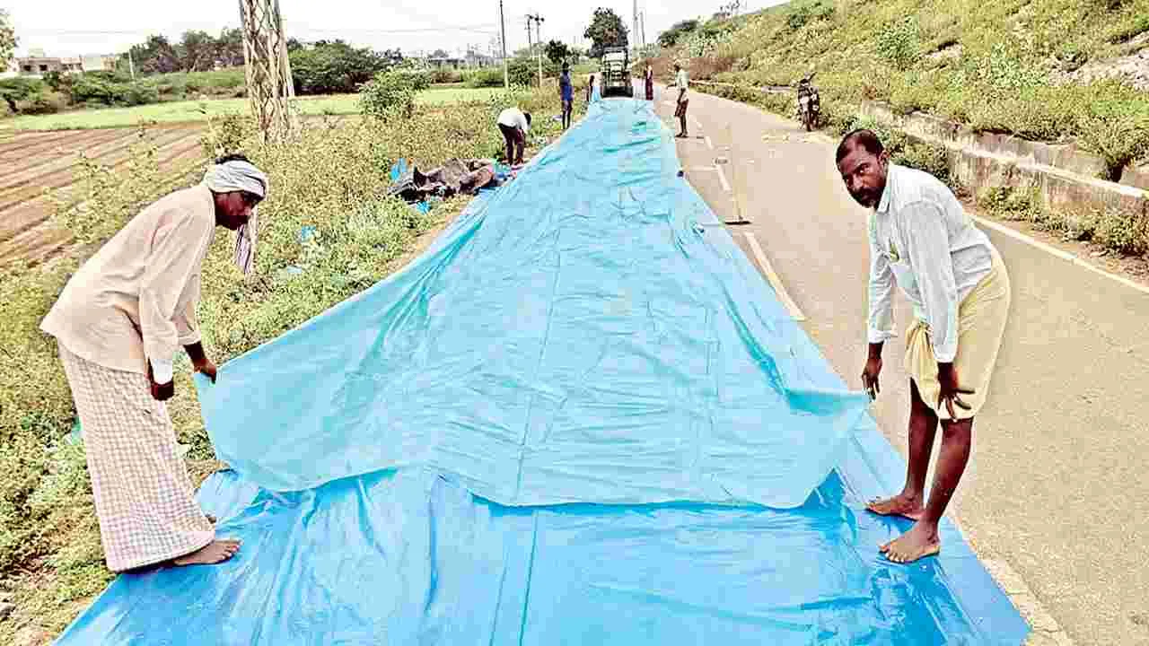 ముసురు ముప్పు