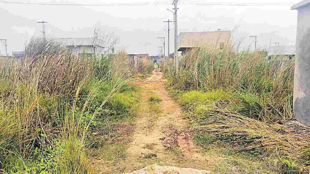 కాలనీలు చూస్తే.. ఆగవు కన్నీళ్లు!