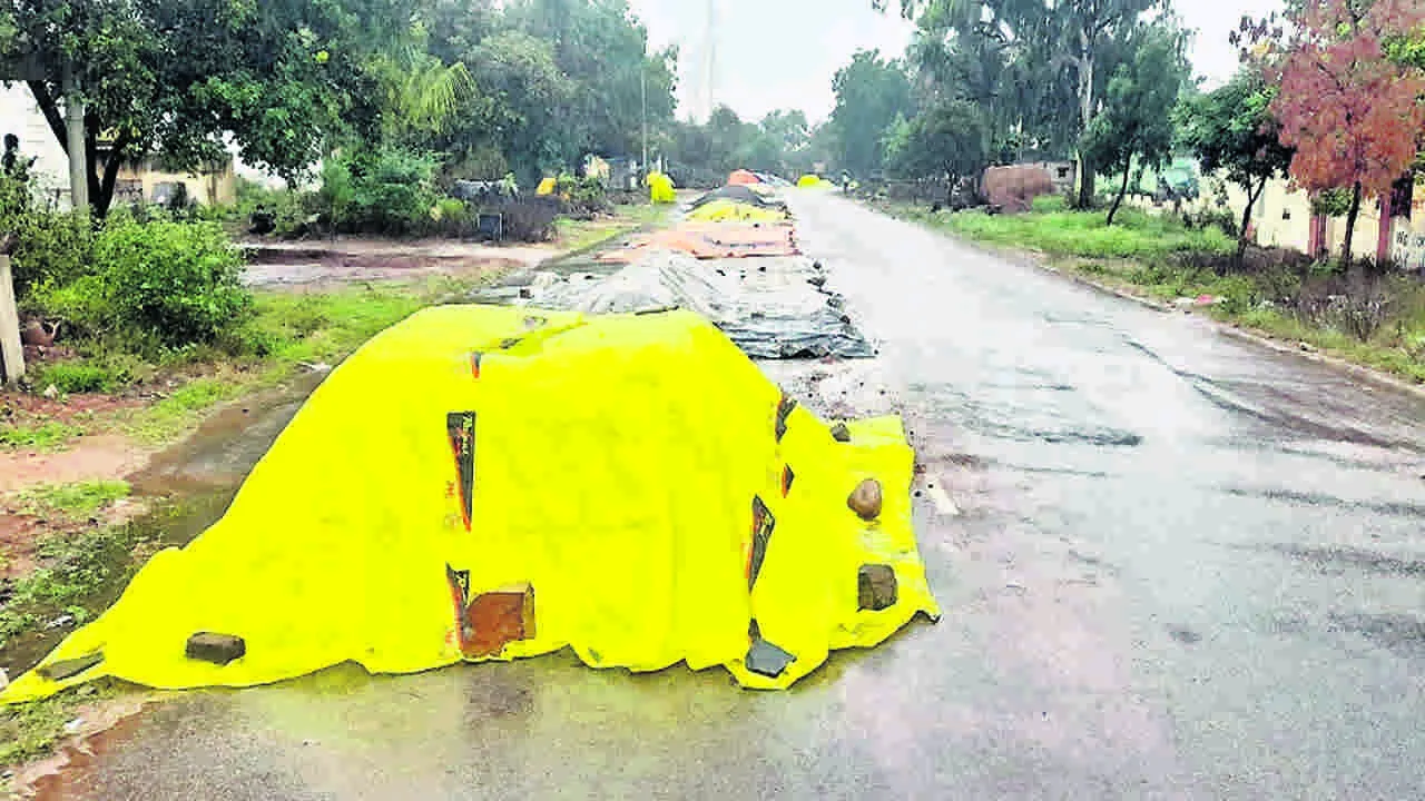 RAINS : అకాల వర్షంతో వరిరైతు కష్టాలు