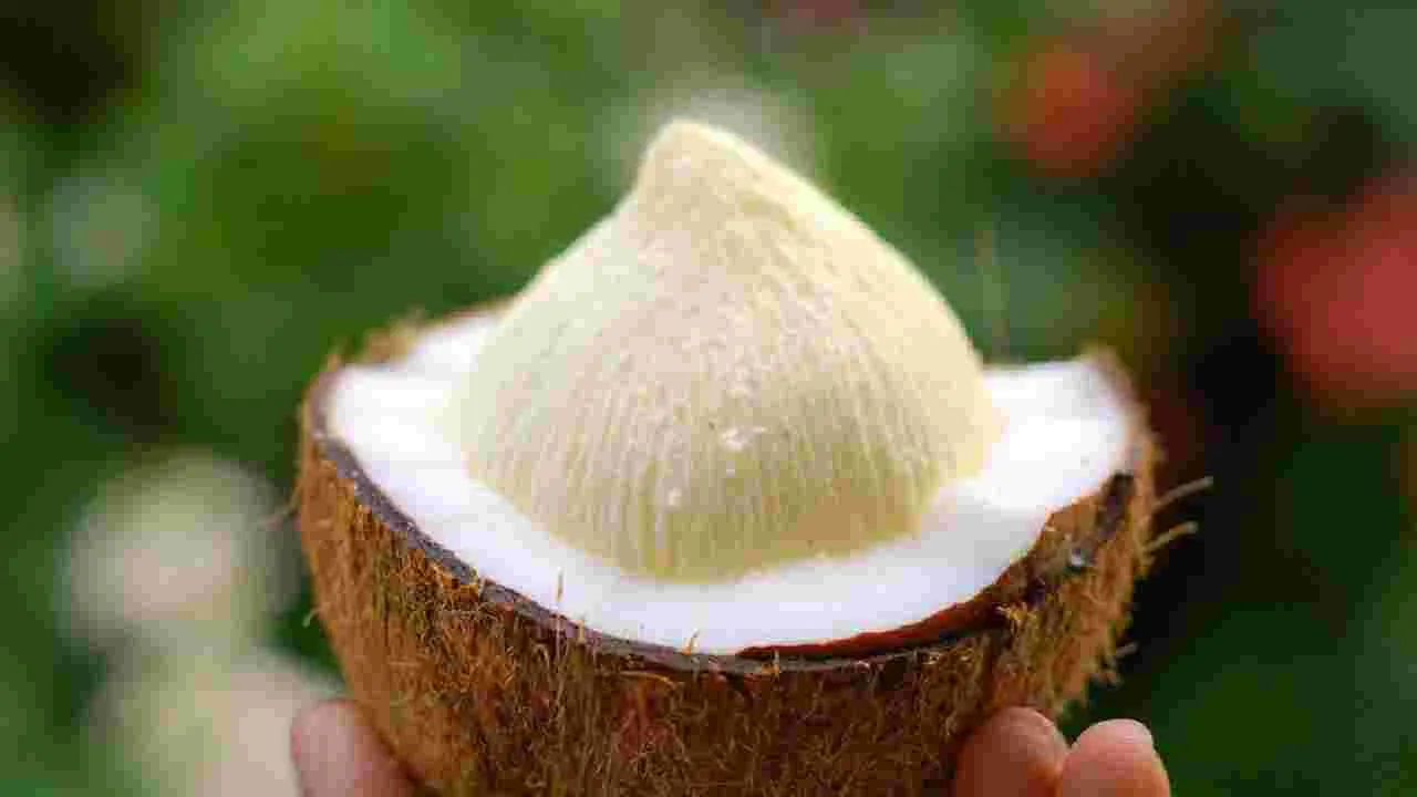 కొబ్బరి పువ్వు తింటే ఇన్ని ఆరోగ్యప్రయోజనాలా..!