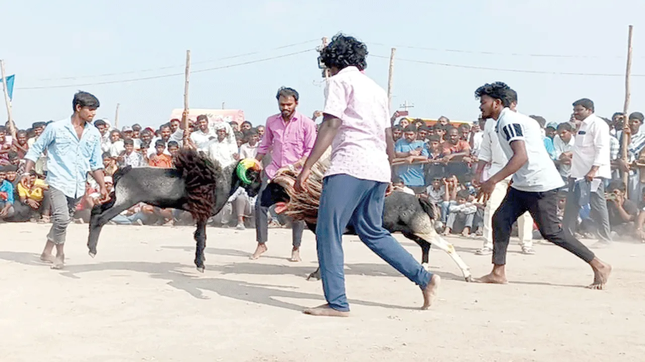 ఢీ అంటే ఢీ