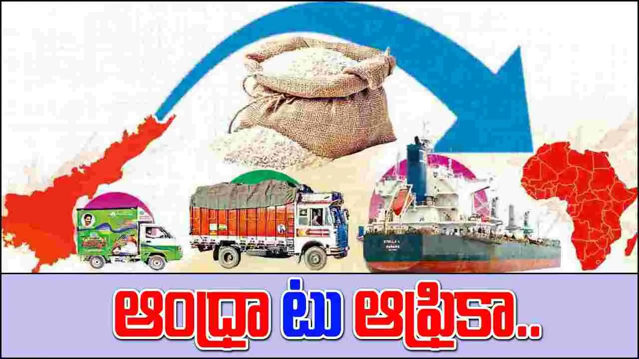 Rice Smuggling Scandal: ఆంధ్రా టు ఆఫ్రికా