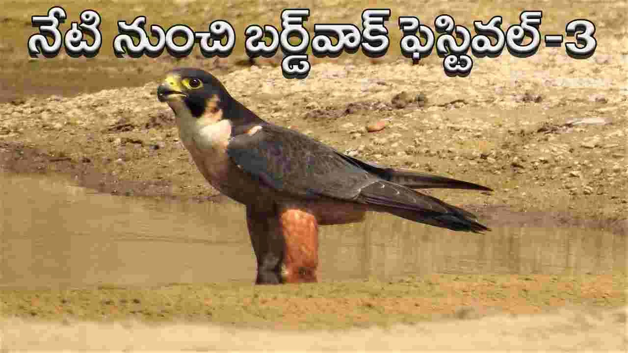 Kumaram Bheem Asifabad: నేటి నుంచి బర్డ్వాక్ ఫెస్టివల్-3