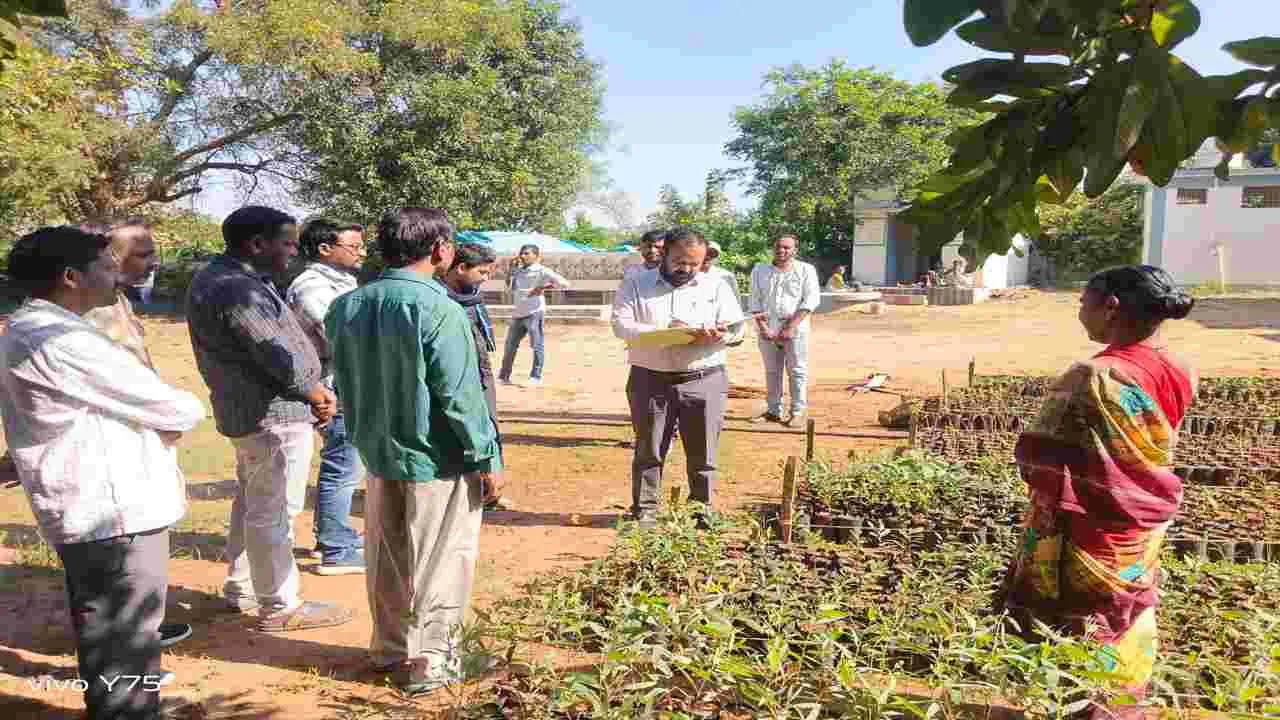 మొక్కల పెంపకంపై ప్రత్యేక దృష్టి సారించాలి