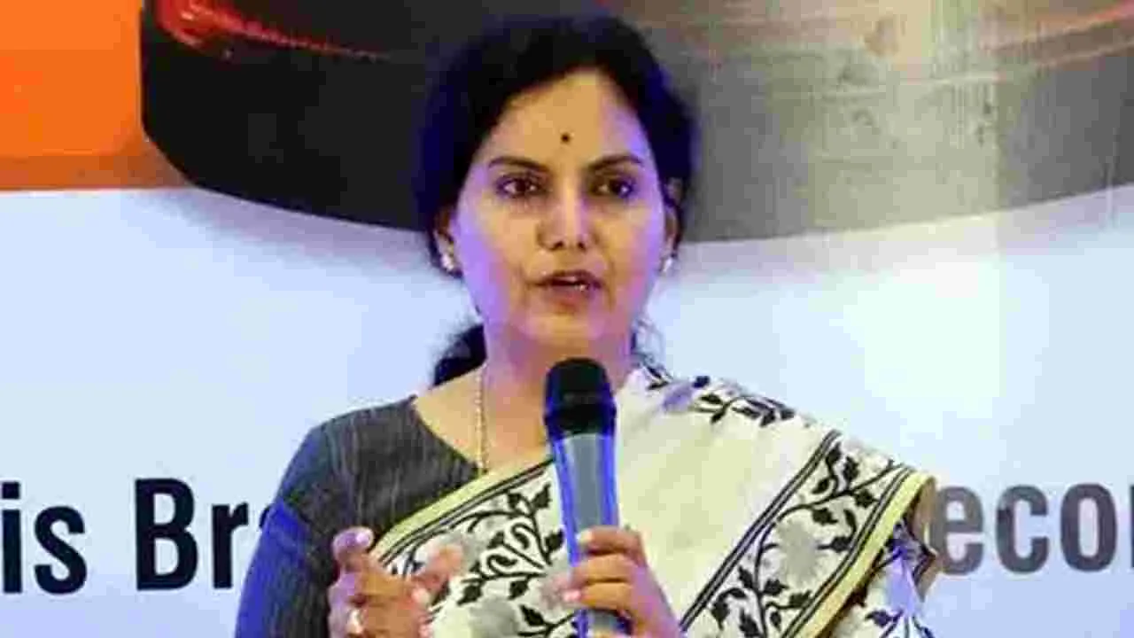 CS Shanti kumari: మహిళా గ్రూపులతో 231 ఎకరాల్లో సోలార్‌ ప్లాంట్లు ఏర్పాటు చేయించండి: సీఎస్‌