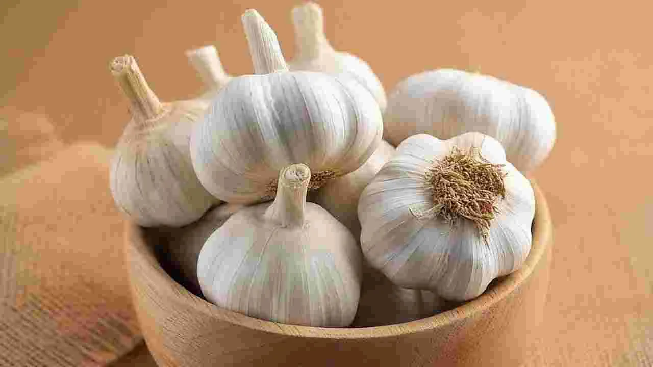 పచ్చి వెల్లుల్లి తినడం వల్ల పొట్ట కొవ్వు తగ్గుతుందా..!