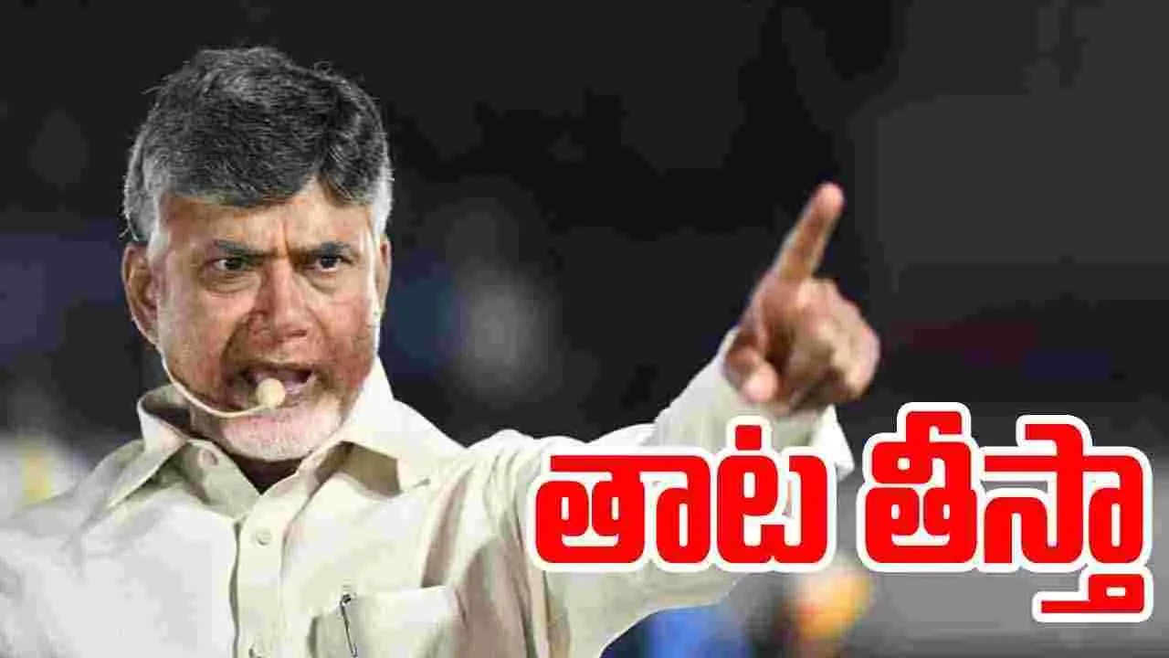 CM Chandrababu: వారి తాట తీస్తాం.. సీఎం చంద్రబాబు మాస్ వార్నింగ్..