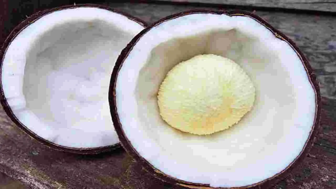 కొబ్బరి పువ్వు తింటే ఇన్ని ఆరోగ్యప్రయోజనాలా..!