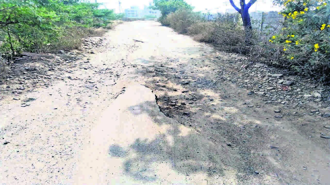 ROAD : దారంతా గుంతలే..!