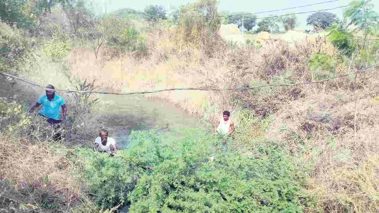 శ్రమదానంతో పూడికతీత