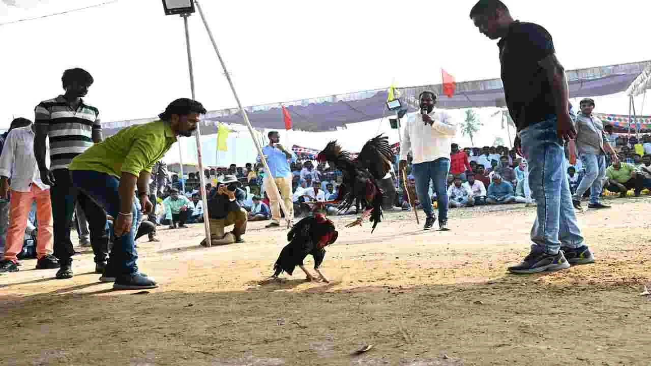 కోట్లాట..!