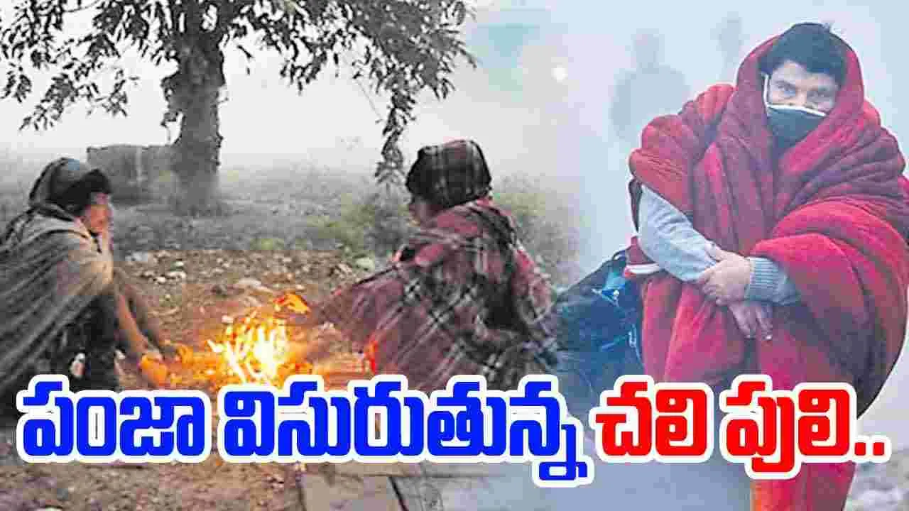 Weather Report: ఏపీని వణికిస్తున్న చలిపులి.. పరిస్థితి ఎలా ఉందంటే..