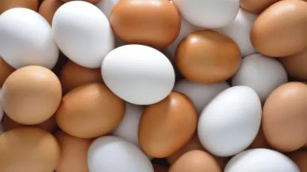 Egg Side Effects: ఈ 5 మందికీ గుడ్లు డేంజర్.. మీరూ ఈ లిస్ట్‌లో ఉన్నారేమో చెక్ చేసుకోండి!