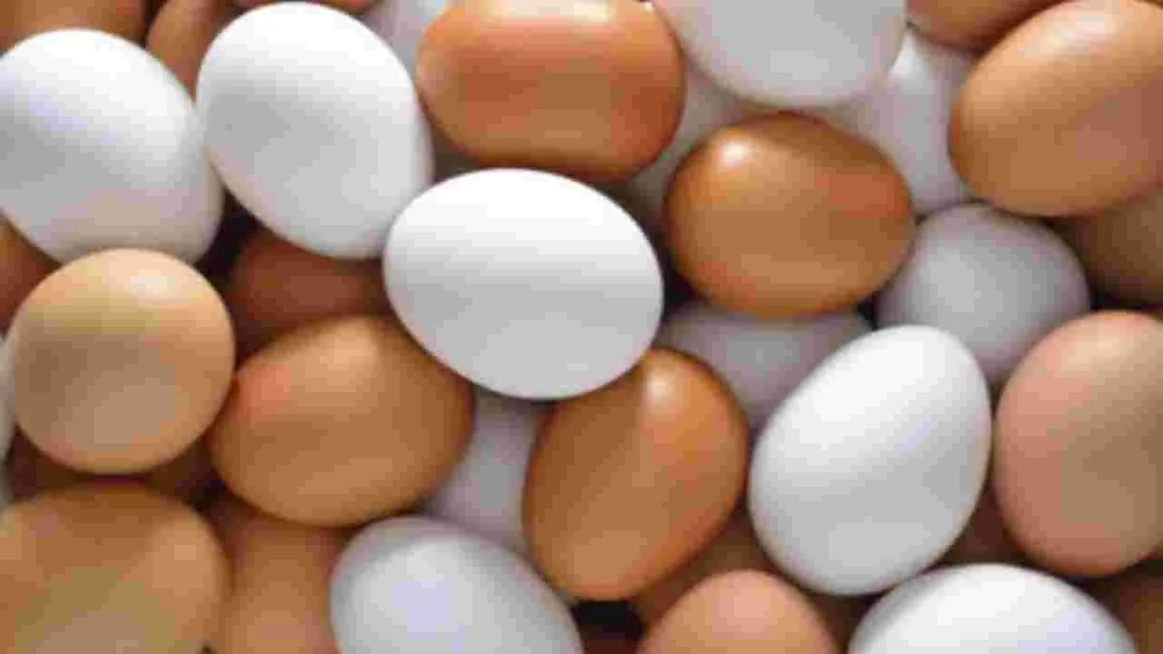Egg Side Effects: ఈ 5 మందికీ గుడ్లు డేంజర్.. మీరూ ఈ లిస్ట్‌లో ఉన్నారేమో చెక్ చేసుకోండి!