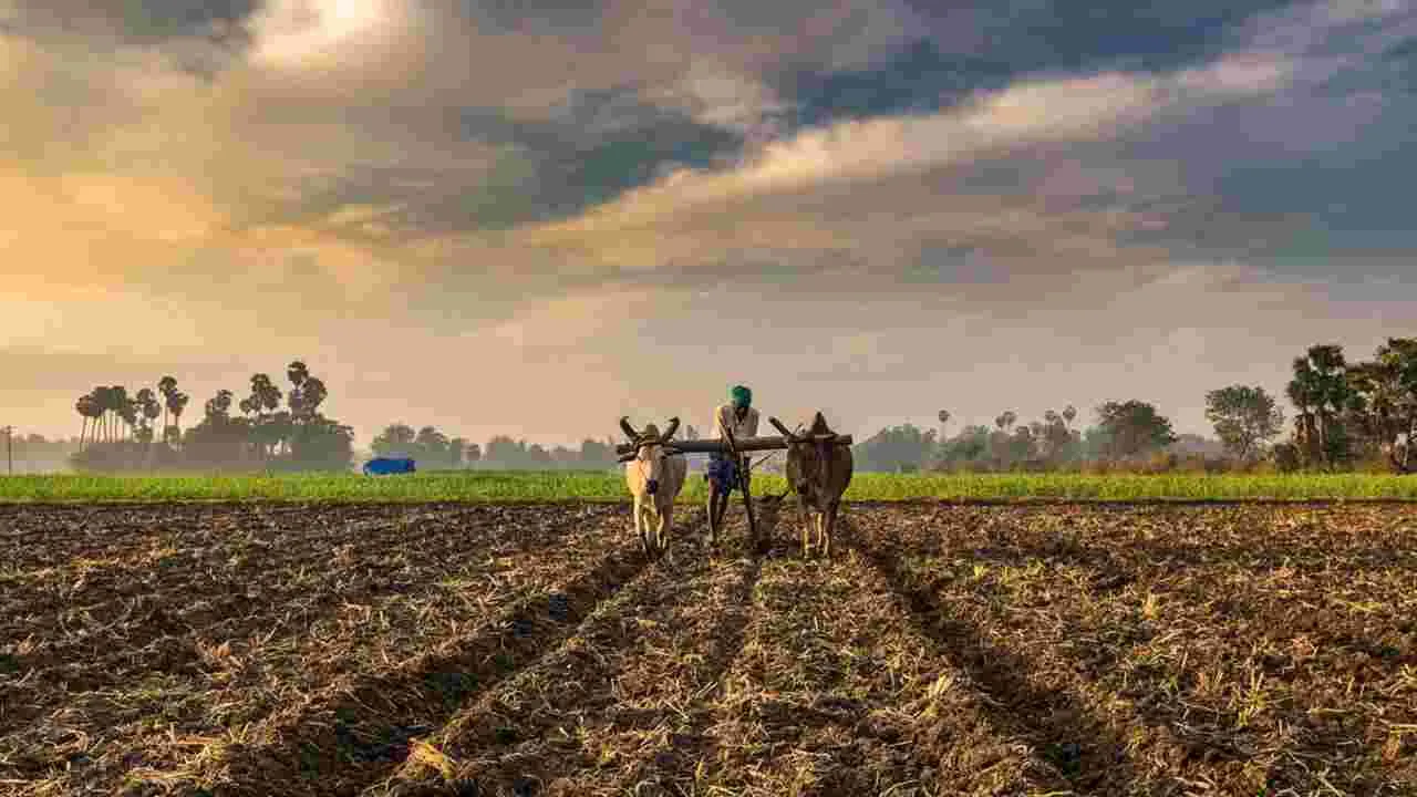 Farmers: రైతులకు అలర్ట్.. వెంటనే ఈ పని చేయండి.. లేదంటే తప్పదు నష్టం..