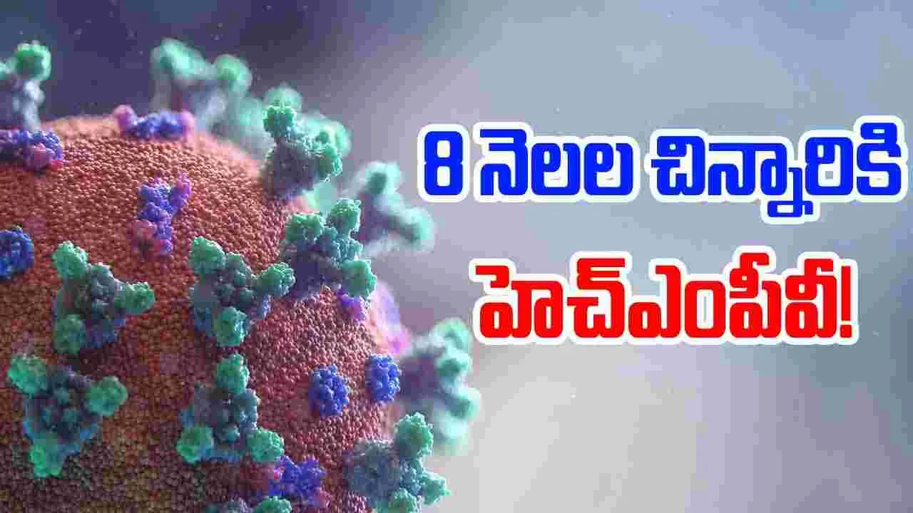 HMPV In India: భారత్‌లో కొత్త వైరస్ తొలి కేసు.. తెలుగు రాష్ట్రాలకు సమీపంలోనే