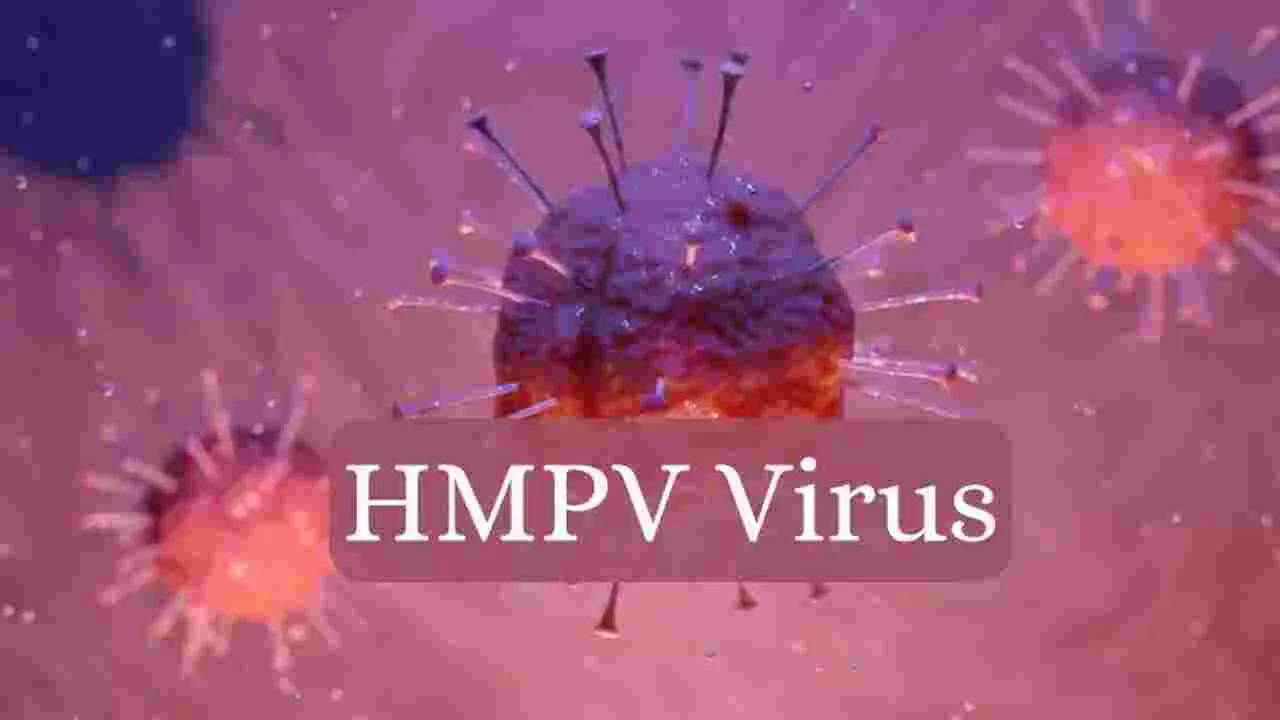 HMPV virus: ఏపీలో కొత్త వైరస్ కేసులు.. ఆరోగ్యశాఖ స్పందన ఇదే..