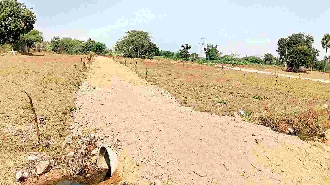 ప్రభుత్వ భూమిలో ప్రైవేట్ వెంచర్..!