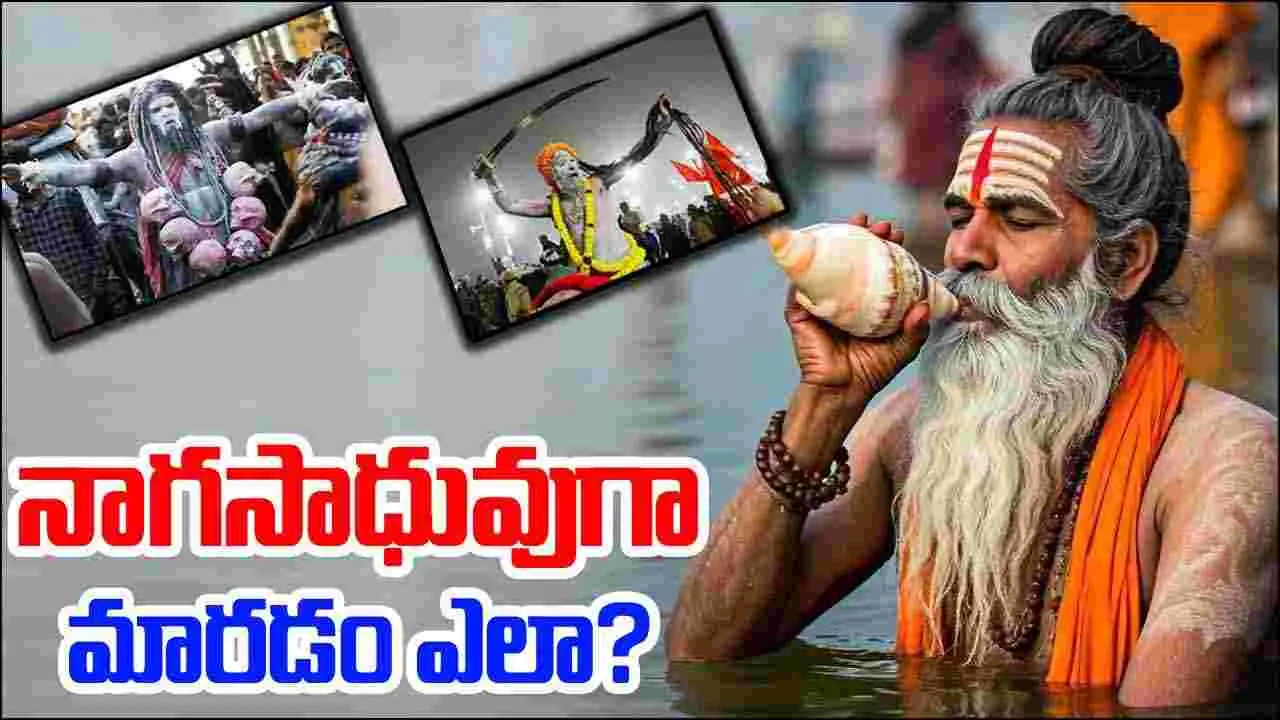 Mahakumbh 2025: కుంభమేళా స్పెషల్.. నాగసాధువుగా మారడం ఎలా.. ఎంత కాలం పడుతుంది..