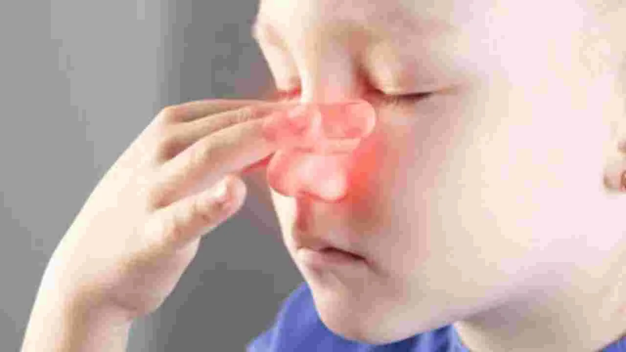 Health News: చలికాలంలో ముక్కు అందుకే ఎర్రగా మారుతుందా..