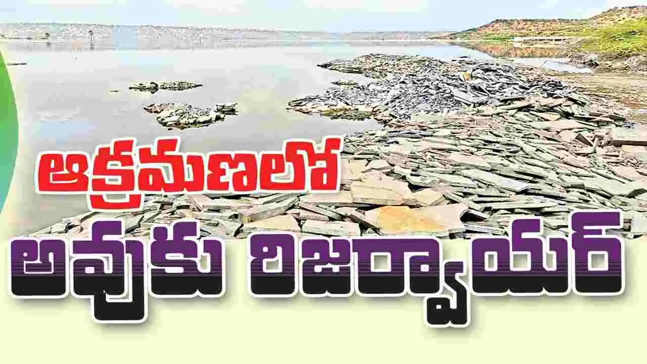 ఆక్రమణలో అవుకు రిజర్వాయర్‌