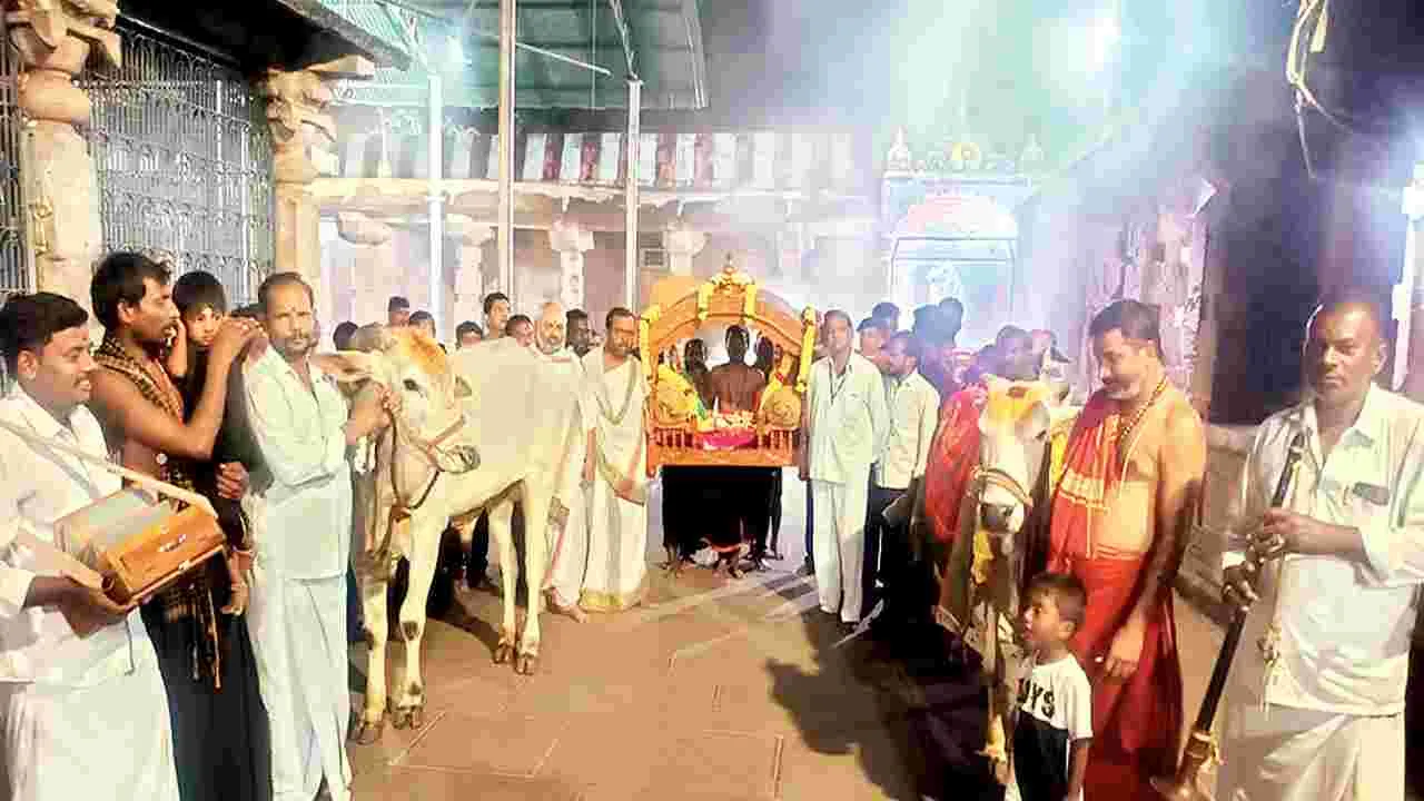 మహానందిలో పల్లకీ సేవ