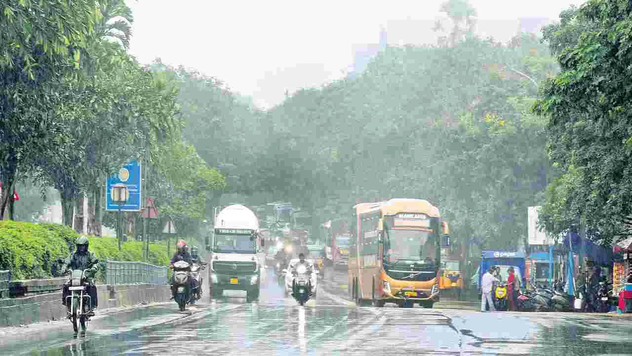 కొనసాగిన ముసురు