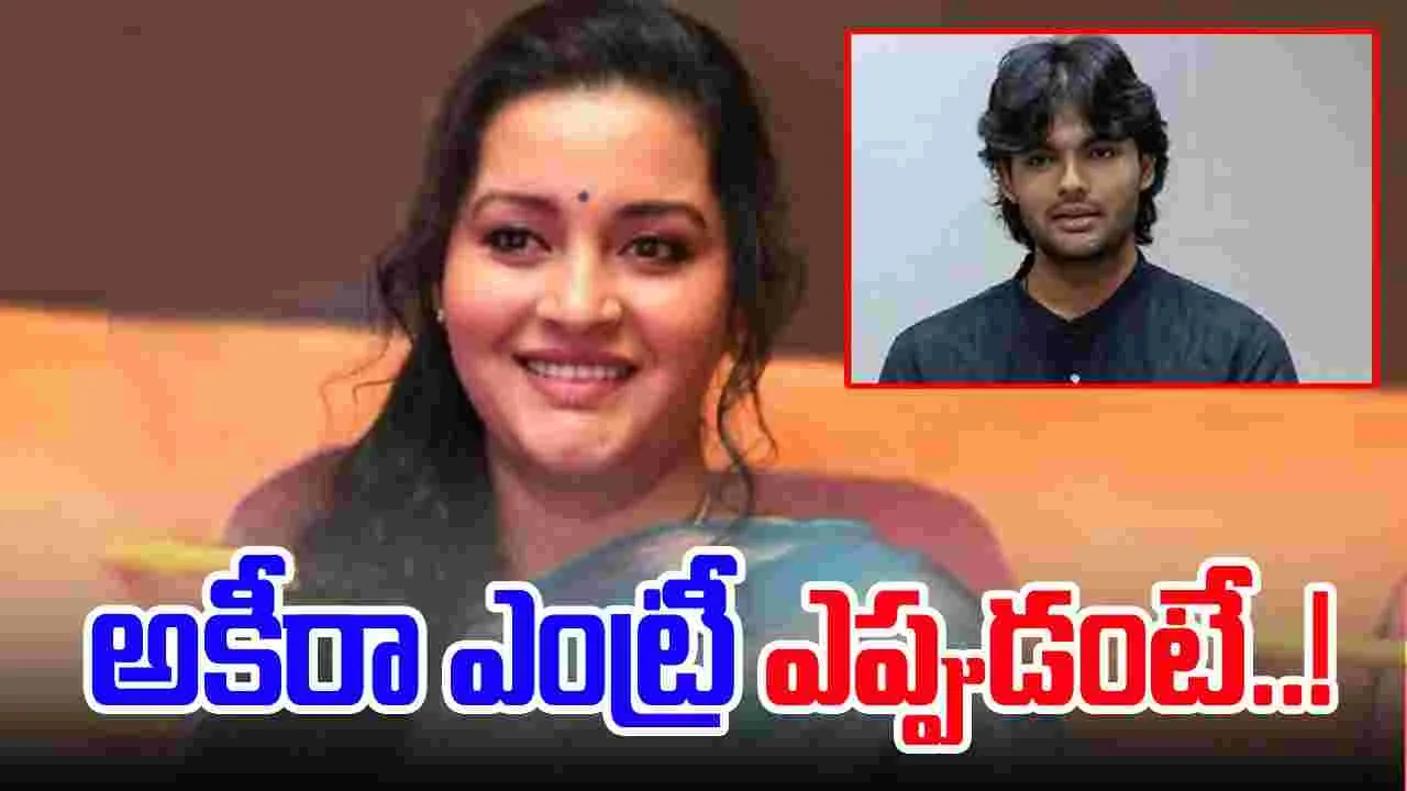 Renu Desai: తెలుగు సినిమా పరిశ్రమపై రేణు దేశాయ్ సంచలన వ్యాఖ్యలు..