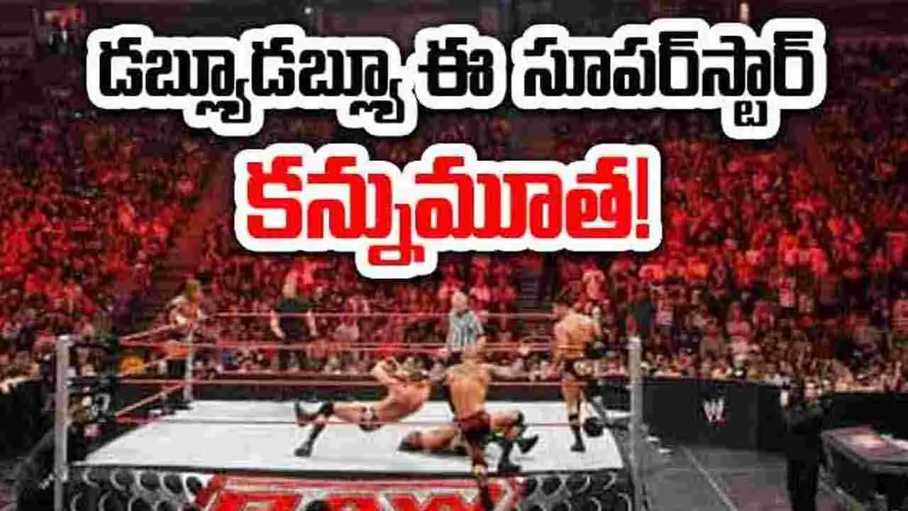 WWE Superstar: డబ్ల్యూడబ్ల్యూఈ సూపర్‌స్టార్ కన్నుమూత.. నైంటీస్ కిడ్స్‌ ఫేవరెట్ ఇతను..