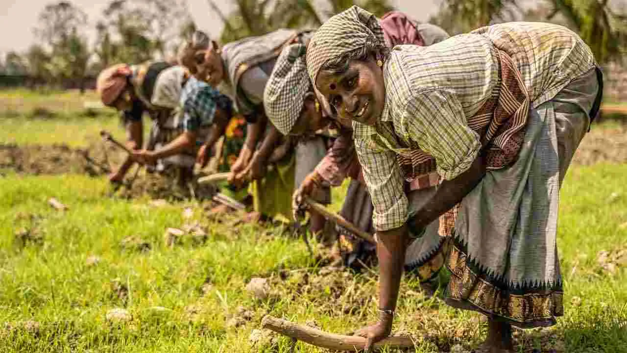 Rural Development : మరో 3.5 కోట్ల ఉపాధి పనిదినాలు కల్పించండి