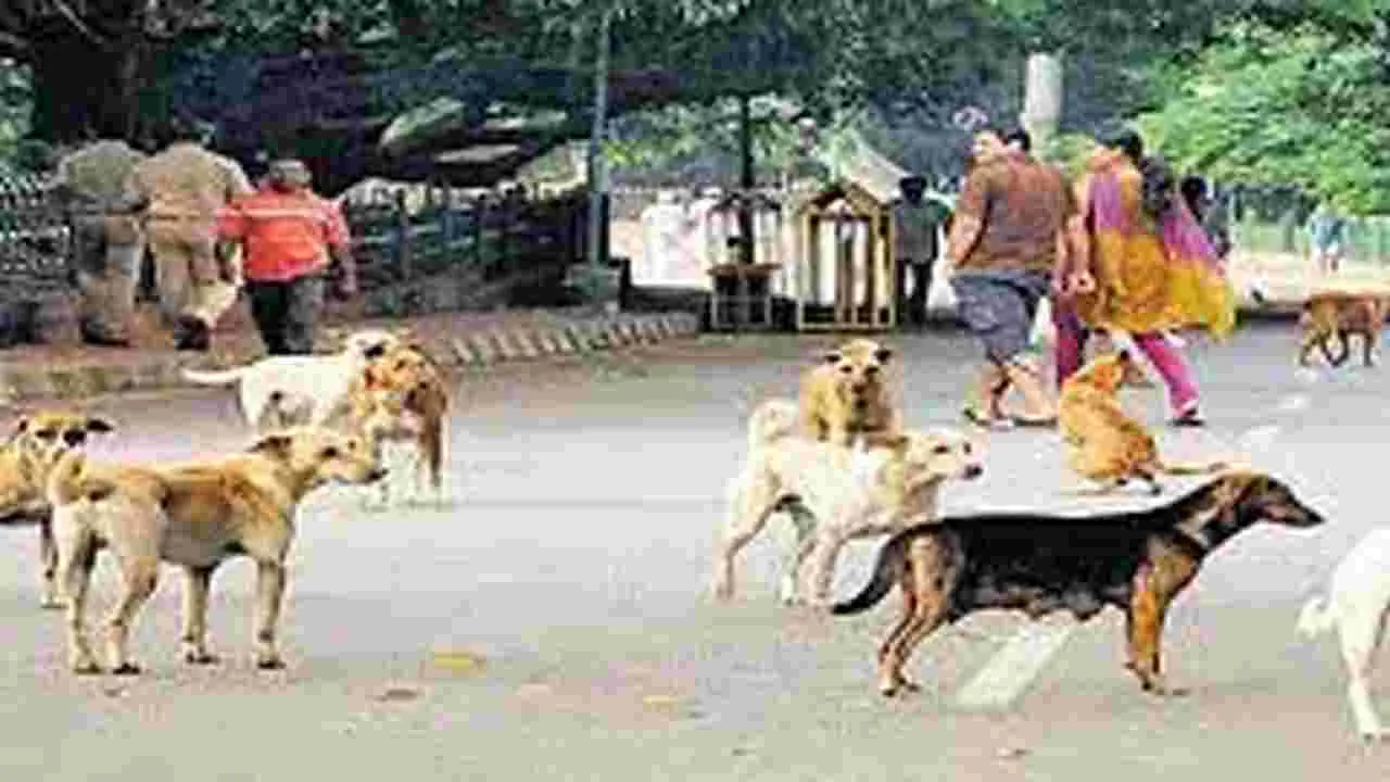 Animal Rights Violations : కుక్కల కుటుంబ నియంత్రణలో.. కాసుల కక్కుర్తి