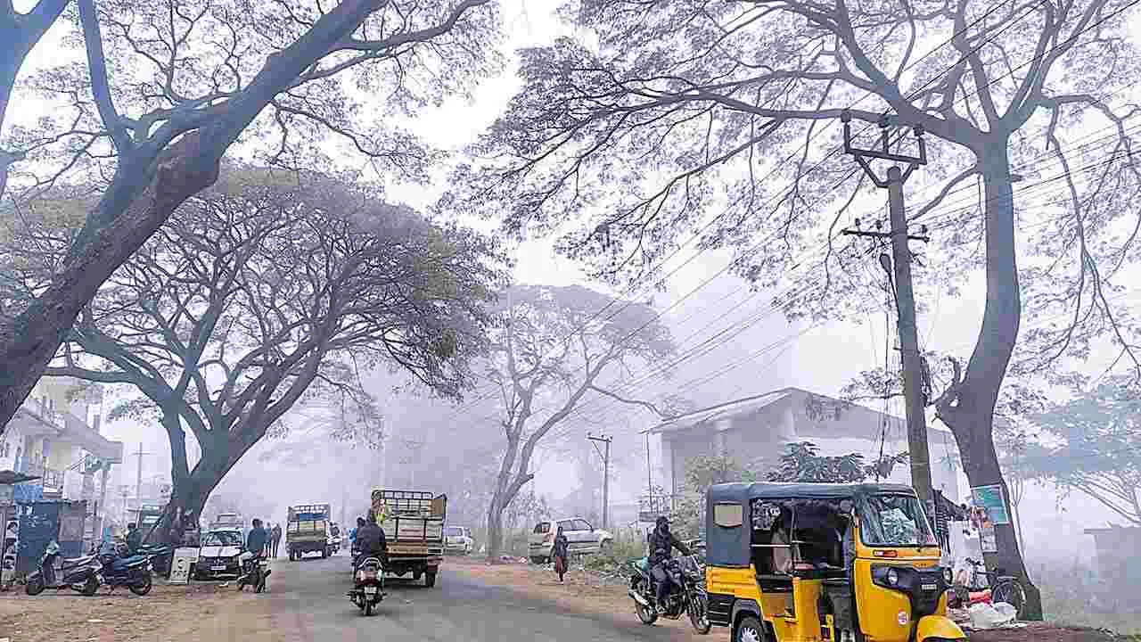 Low Temperatures : జి.మాడుగులలో గజగజ