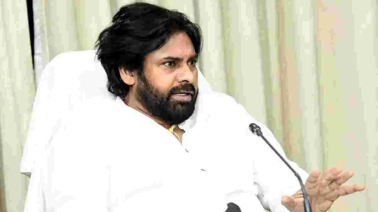 Deputy CM Pawan Kalyan : ఆలివ్ రిడ్లీ తాబేళ్ల సంరక్షణకు చర్యలు
