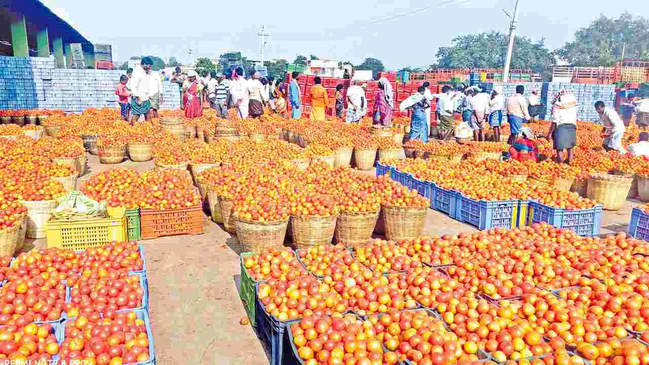 Pattanakonda Market  : టమోటా కిలో రూపాయే!