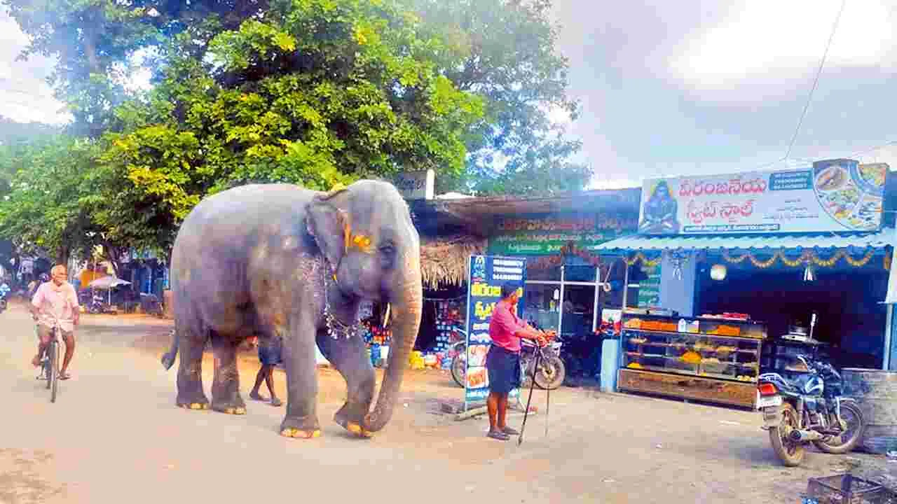 Elephant Leela : చిట్టిబాబాజీ ఆశ్రమ ఏనుగు ఆకస్మిక మృతి