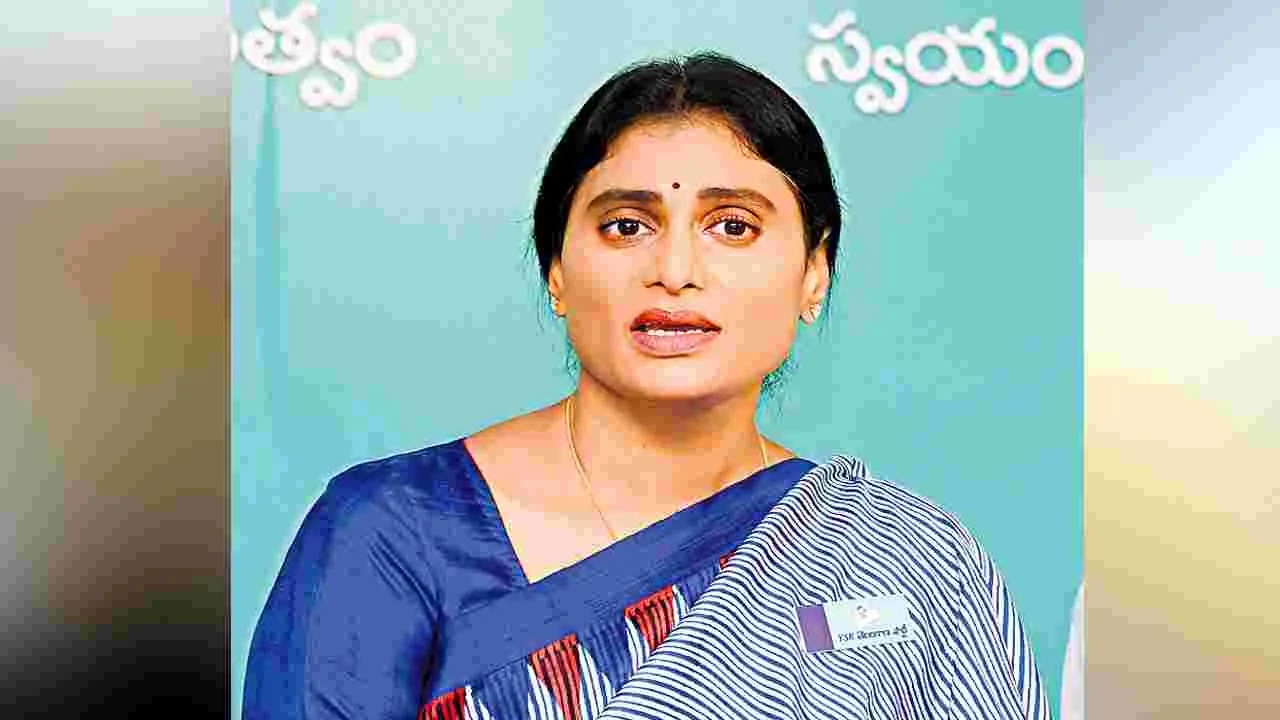 YS Sharmila : వారే కొట్టుకుని.. రాహుల్‌ను అంటున్నారు