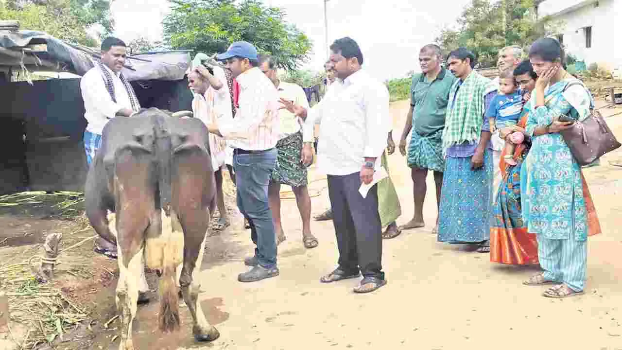 పశువులకు వ్యాక్సిన్లు వేయించండి