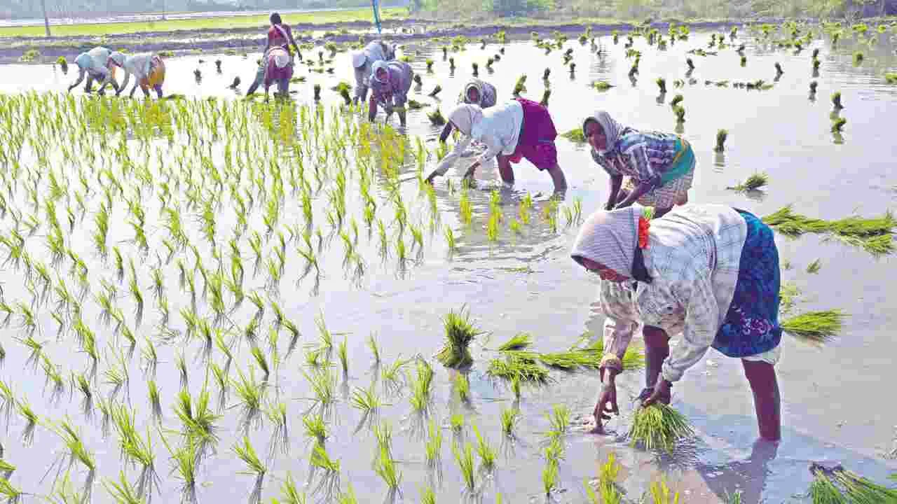 కూలీలకు పెరిగిన డిమాండ్‌