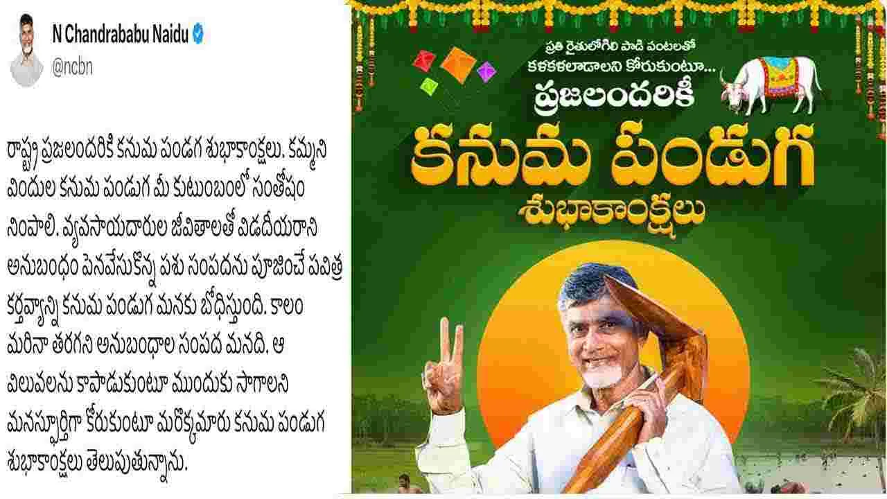 CM Chandrababu: తెలుగు ప్రజలకు సీఎం చంద్రబాబు కనుమ శుభాకాంక్షలు..