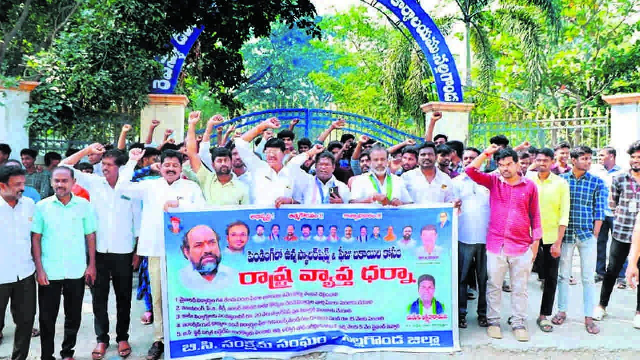 పెండింగ్ ఫీజు బకాయిలను వెంటనే విడుదల చేయాలి