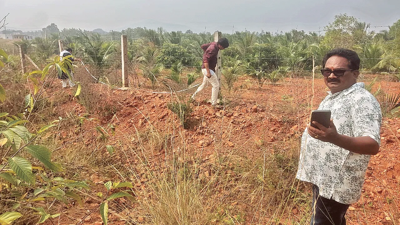 Bendikonda: బెండికొండ ఆక్రమణపై సర్వే