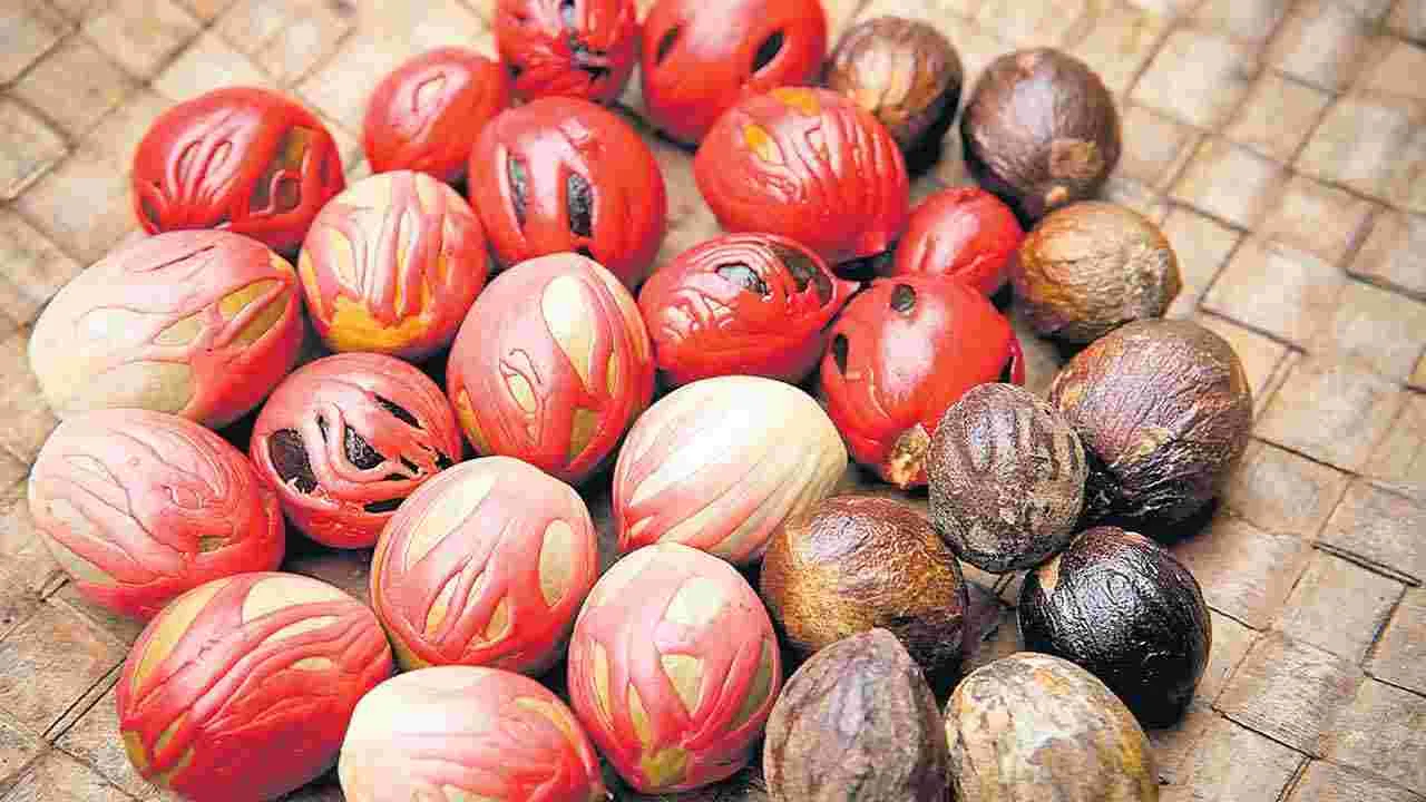 cardamom: జాజి కాయతో...                           