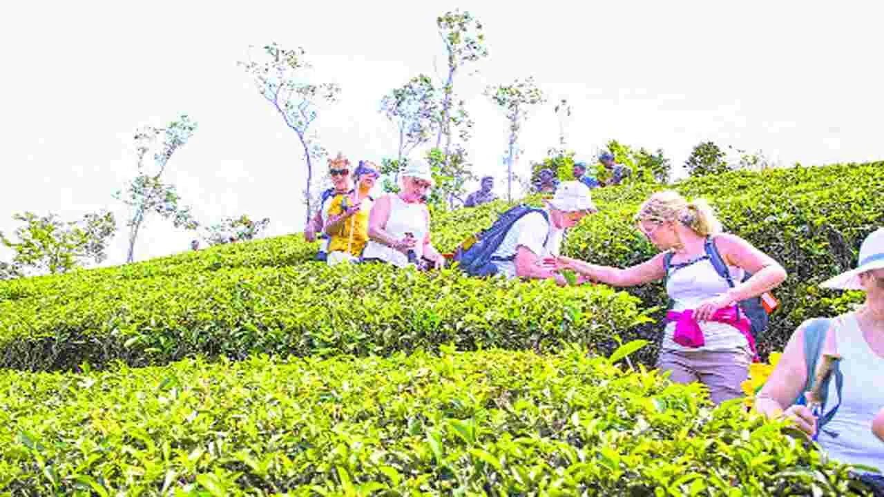 పదండి పోదాం.. పల్లె పర్యాటకానికి..!