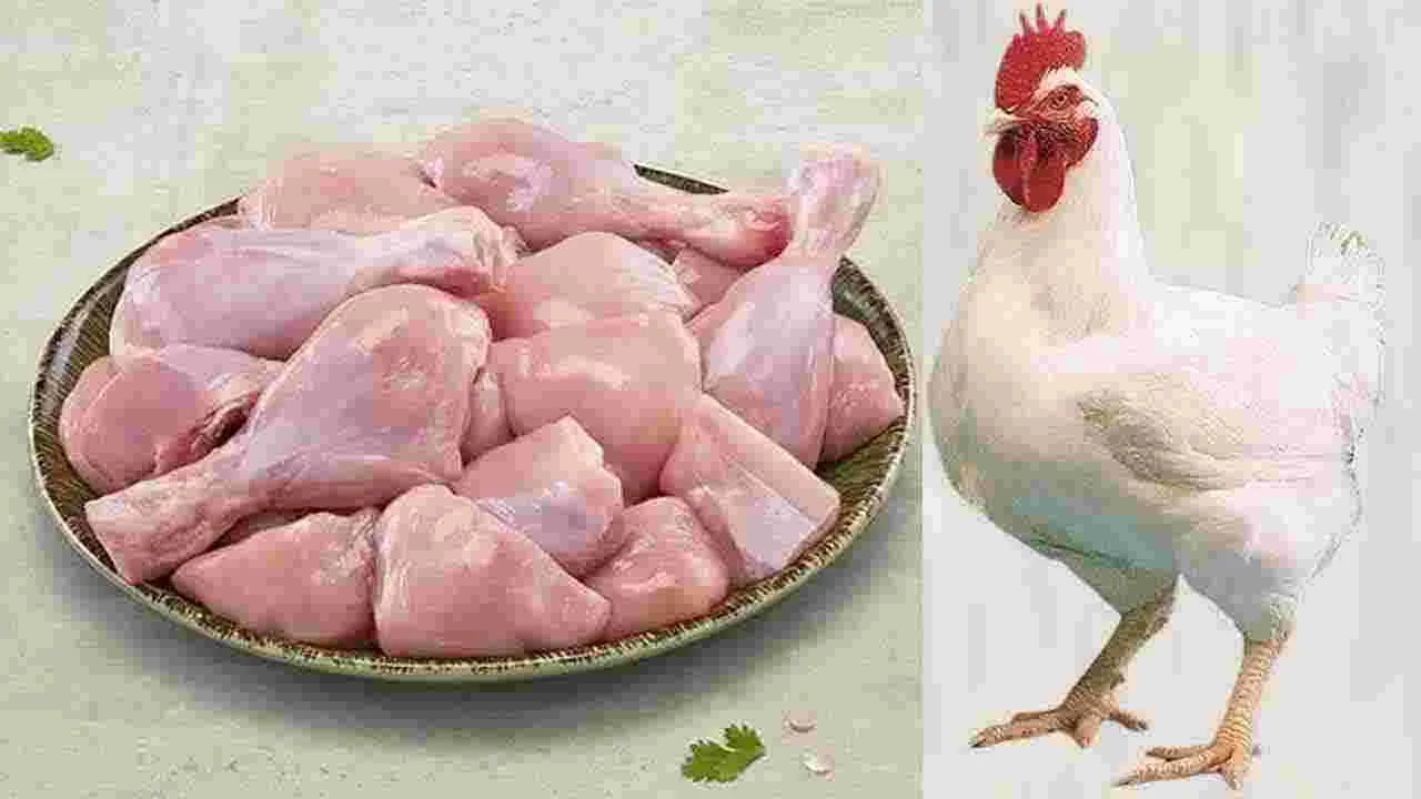 Chicken Price: తెలుగు రాష్ట్రాల్లో చికెన్ ధరలు ఎలా ఉన్నాయంటే..