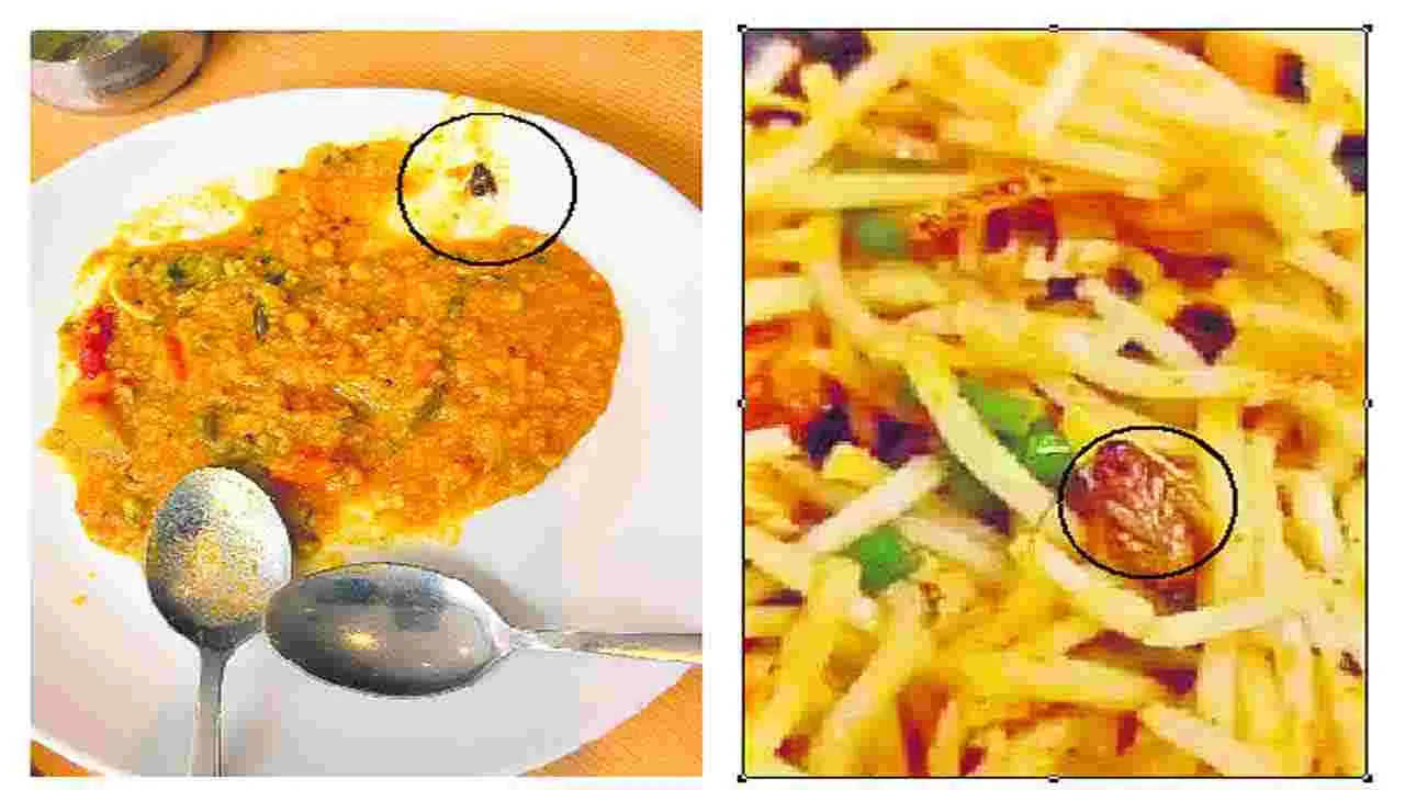 Hyderabad: సాంబార్‌ రైస్‌, నూడిల్స్‌లో బొద్దింకలు..