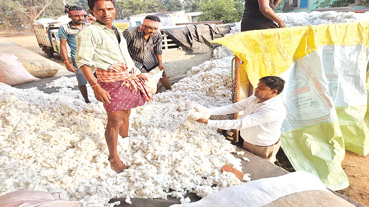 Cotton Trading పత్తి విక్రయానికి అవస్థలు 