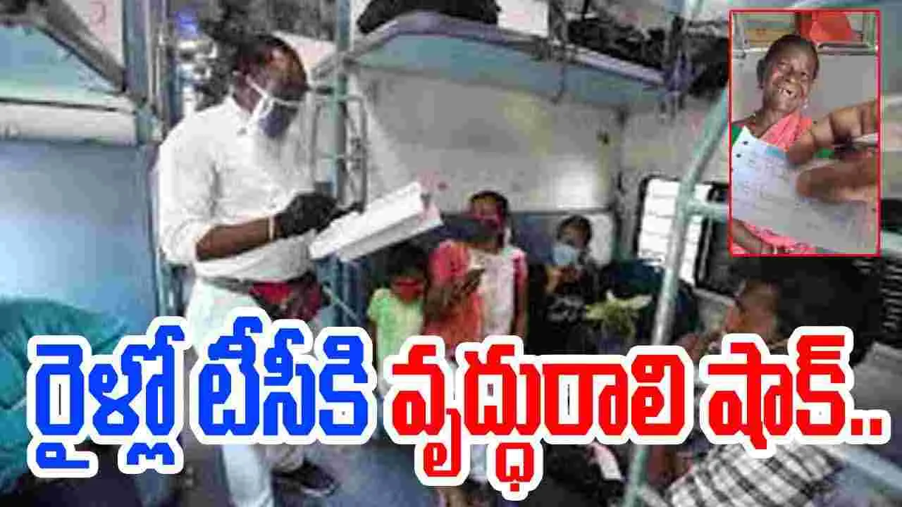 Viral Video : రైళ్లో ప్రయాణిస్తున్న వృద్ధురాలి నిజాయితీకి టీసీ షాక్.. అసలేం జరిగిందంటే..