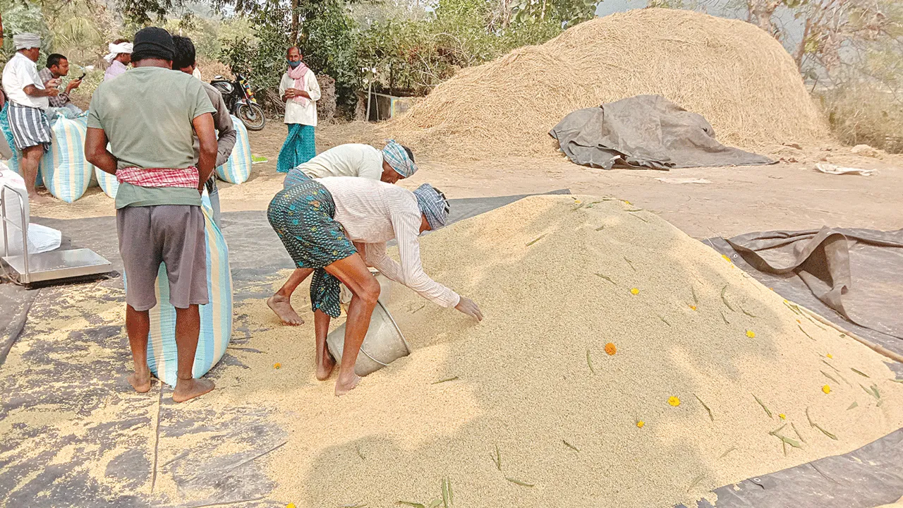   80 శాతం ధాన్యం కొనుగోలు పూర్తి