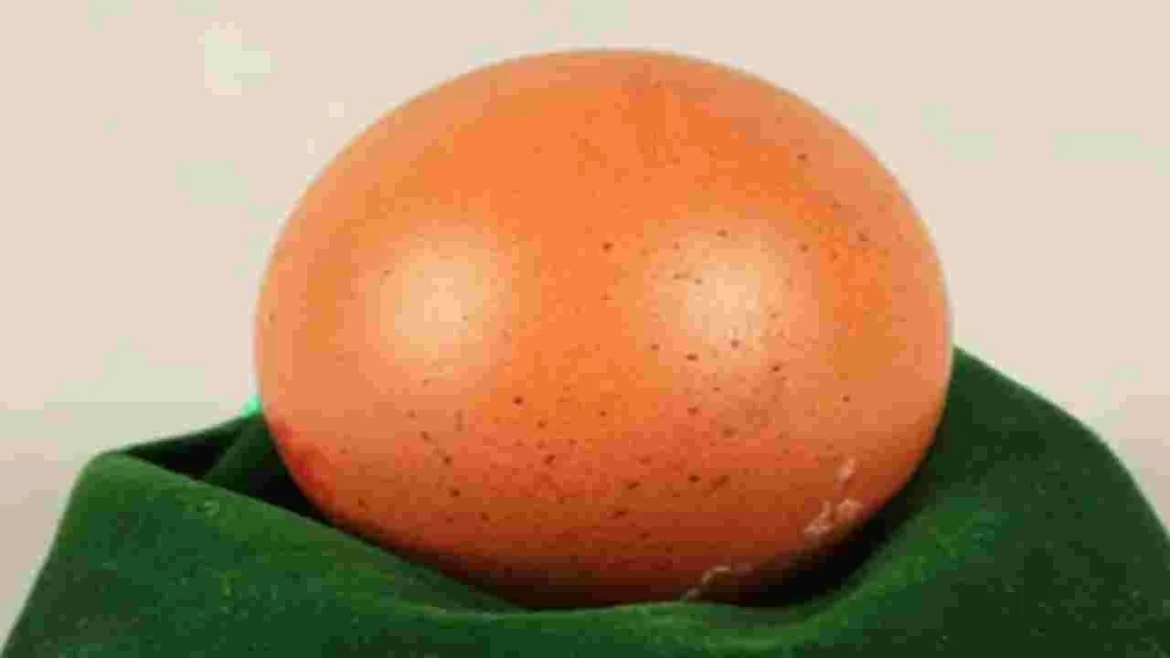 Spherical Egg: ఒక కోడి గుడ్డు ధర రూ. 21 వేలు.. స్పెషల్ ఏంటో తెలుసా..